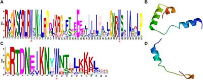 Genome-Wide Identification and Capsaicinoid Biosynthesis-Related Expression Analysis of the R2R3-MYB Gene Family in Capsicum annuum L.